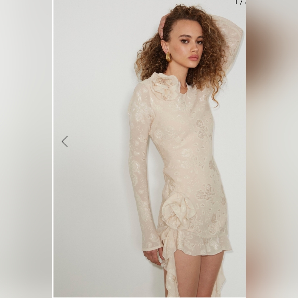 Delfi Collective Kira Mini Cream Rosette Ruffle Designer Dress Nwot
